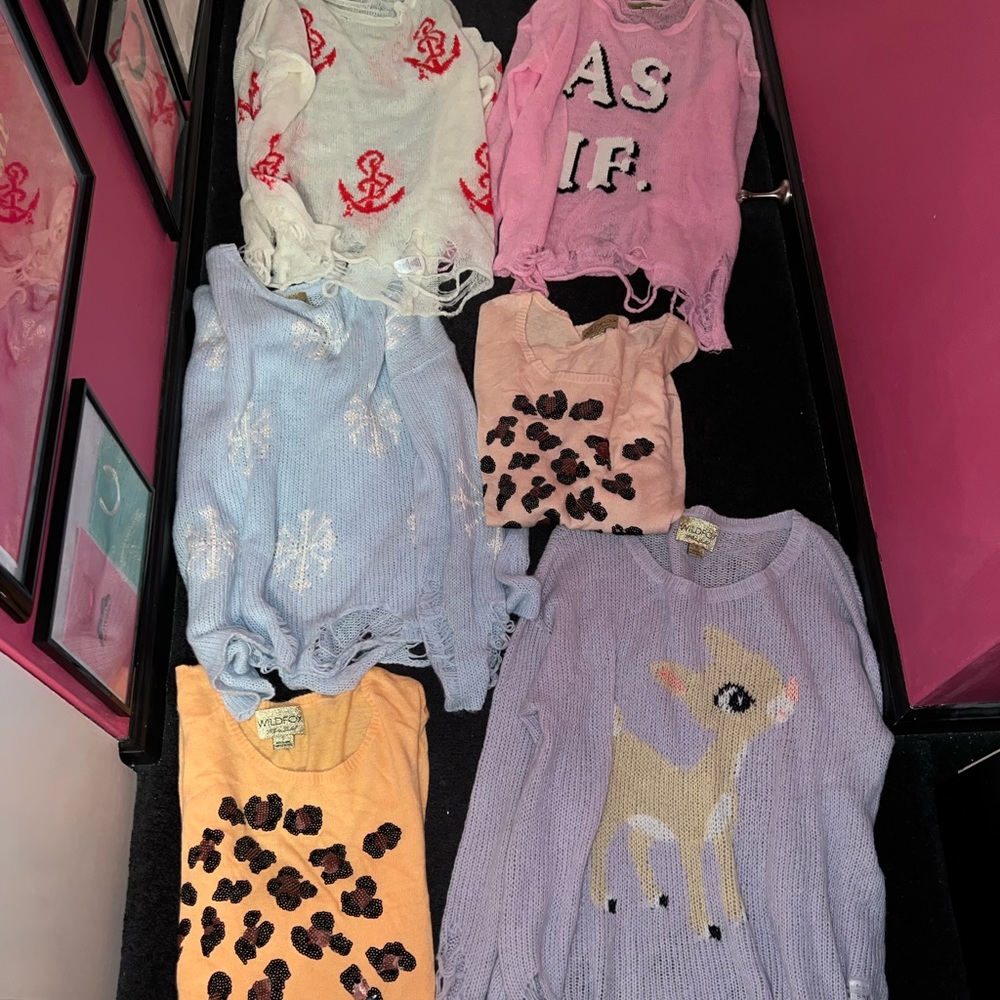 Six Wildfox Sweaters